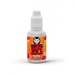 Concentré Charger 30ml Vampire Vape (5 pièces)
