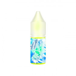 Concentré Icee Mint 10ml Fruizee (10 pièces)
