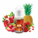 Concentré Vitamix 30ml Belgi'Ohm (6 pièces) Concentré Vitamix 30ml Belgi'Ohm (6 pièces)