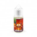 Concentré Vitamix 30ml Belgi'Ohm (6 pièces) Concentré Vitamix 30ml Belgi'Ohm (6 pièces)