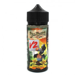 Call Hector V2 100ml Belgi'Ohm