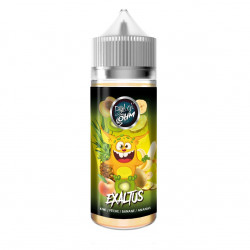 Exaltus 100ml Belgi'Ohm