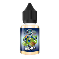 Concentré Dualmixus 30ml Belgi'Ohm (6 pièces)