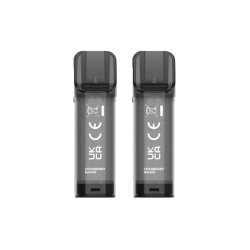 Pod Cranberry Raisin 2ml Elfa - ElfBar (pack de 2)