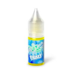 Icee Mint 10ml Esalts by Eliquid France