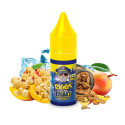 Riggs 10ml Esalts by Eliquid France Riggs 10ml Esalts by Eliquid France