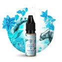Concentré The Bear 10ml Secret Garden by Secret's LAb (10 pièces) Concentré The Bear 10ml Secret Garden by Secret's LAb (10 pièces)