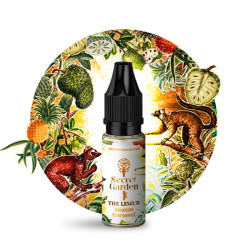 Concentré The Lemur 10ml Secret Garden by Secret's LAb (10 pièces) Concentré The Lemur 10ml Secret Garden by Secret's LAb (10 pièces)