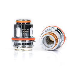 Résistances Mesh Z2 (0.2ohm) Geekvape (pack de 5) Résistances Mesh Z2 (0.2ohm) Geekvape (pack de 5)