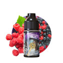 Purple Key 10ml Secret's Keys by Secret's LAb (10 pièces) Purple Key 10ml Secret's Keys by Secret's LAb (10 pièces)