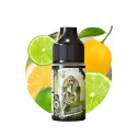 Green Key 10ml Secret's Keys by Secret's LAb (10 pièces) Green Key 10ml Secret's Keys by Secret's LAb (10 pièces)