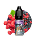 Purple Key Salt 10ml Secret's Keys by Secret's LAb (10 pièces) Purple Key Salt 10ml Secret's Keys by Secret's LAb (10 pièces)