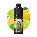 Green Key 10ml Secret's Keys by Secret's LAb (10 pièces) Green Key 10ml Secret's Keys by Secret's LAb (10 pièces)