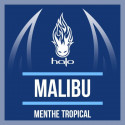 Concentré Malibu 10ml Halo (10 pièces)